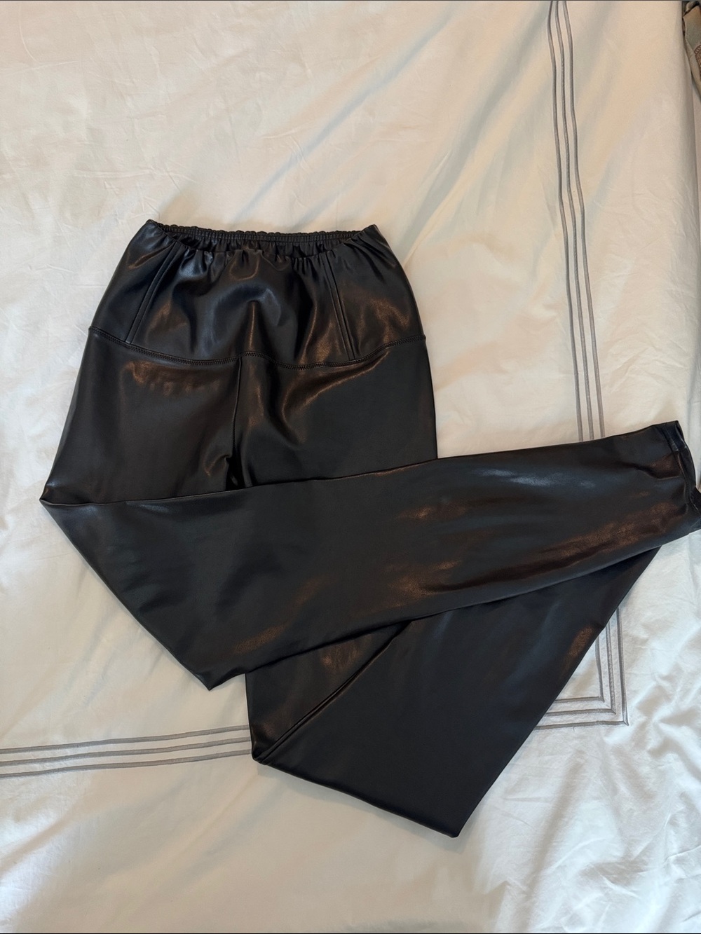 Aritzia Faux Leather Leggings